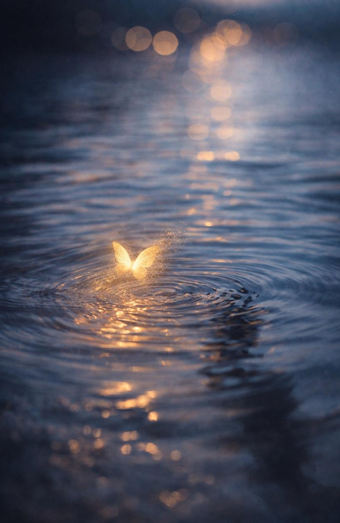 Light on water